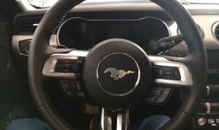 脱缰的野马 脱缰的野马